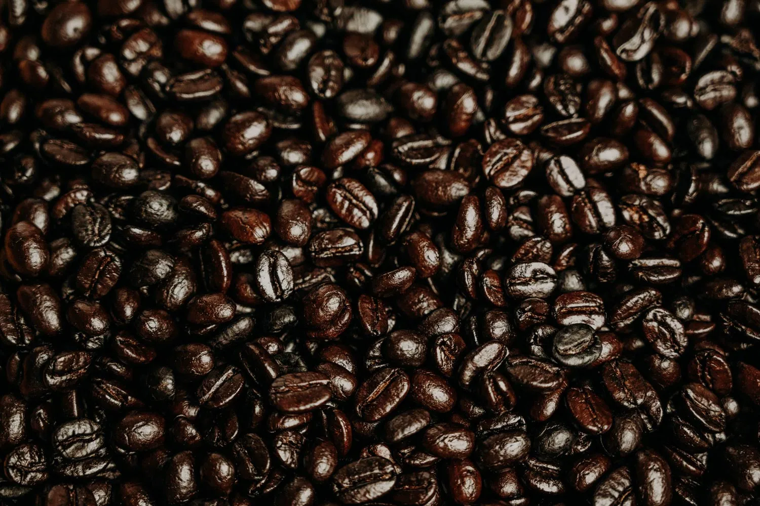 VAMPIRE COFFEE - Nocturnal French Roast (Ground) - Image 3